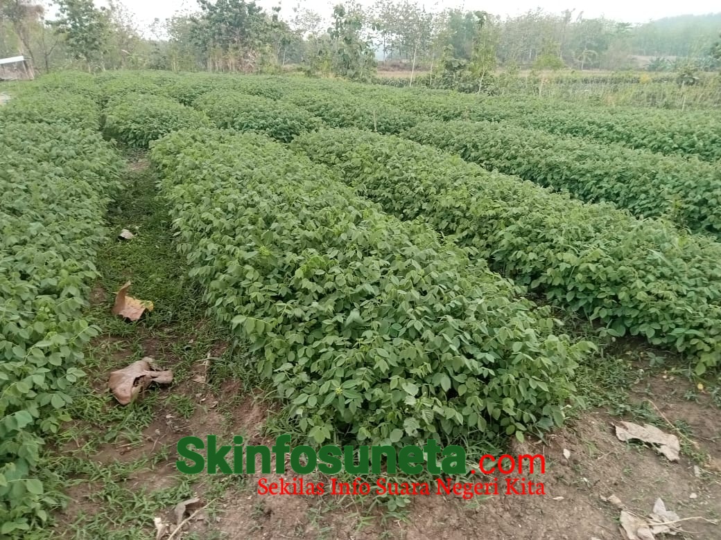 IMG-20231114-WA0006-wm-69528.10000002384