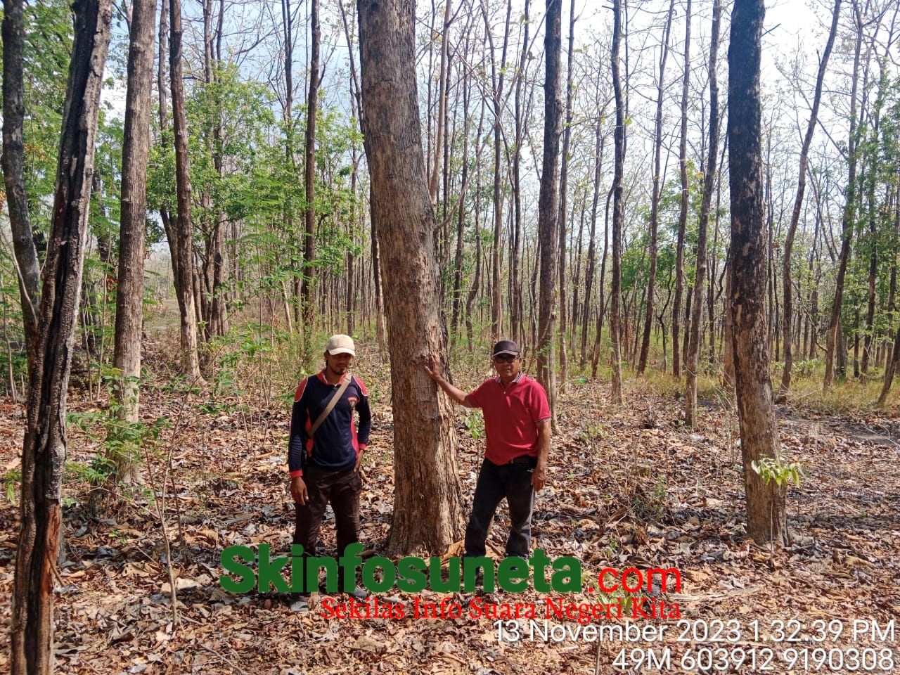 IMG 20231115 WA0001 wm 63764.80000000005