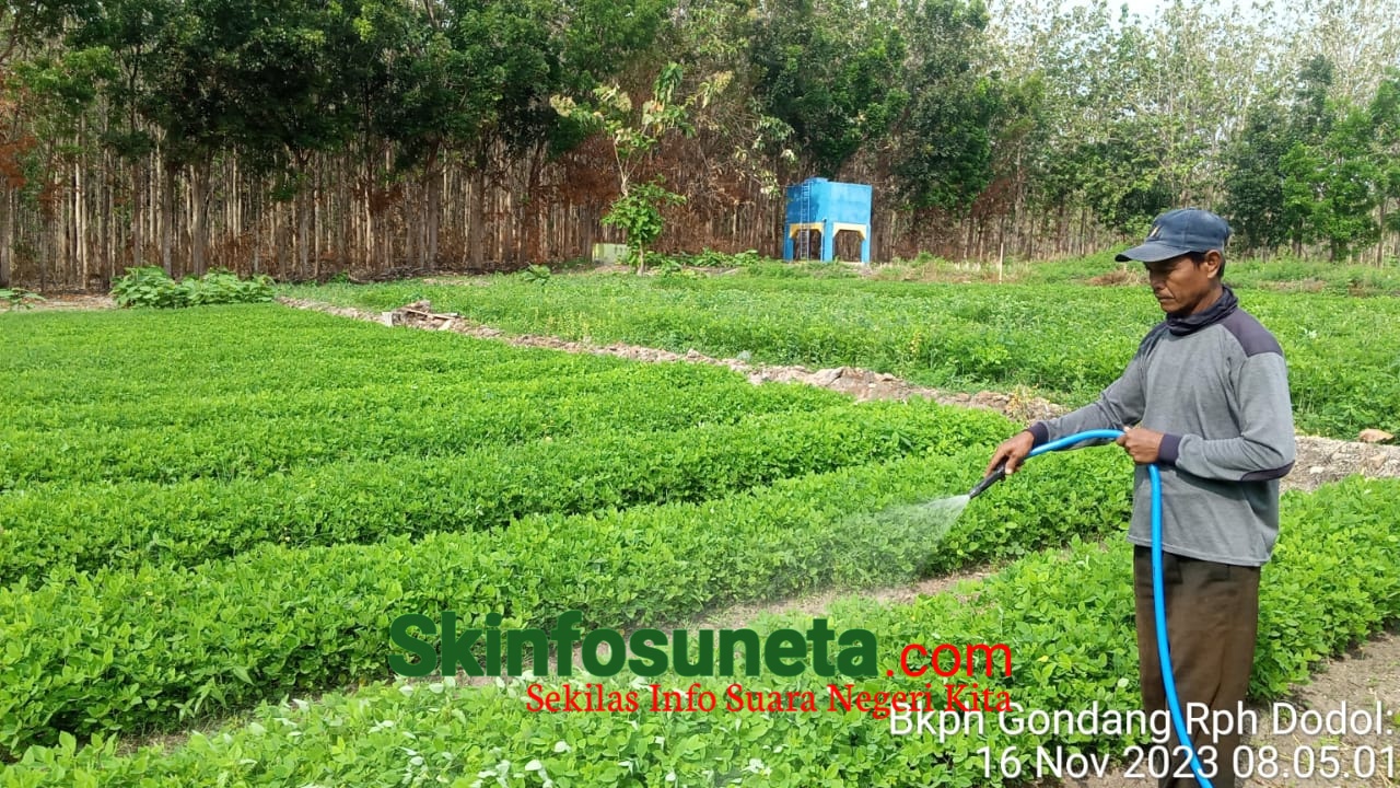 IMG 20231116 WA0004 wm 565669.6999999881