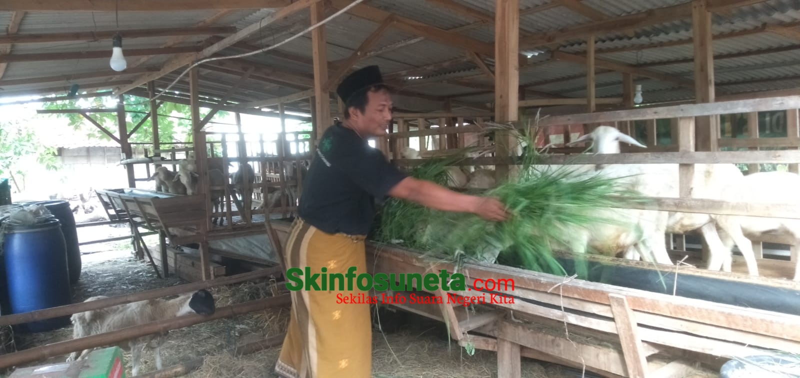 IMG-20231214-WA0005-wm-56745.60000002384