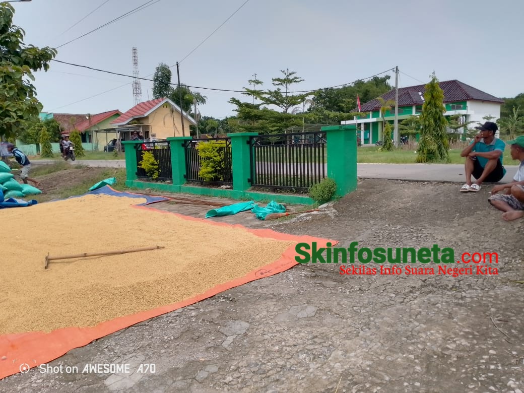 IMG 20240114 WA0006 wm 47298.59999999998