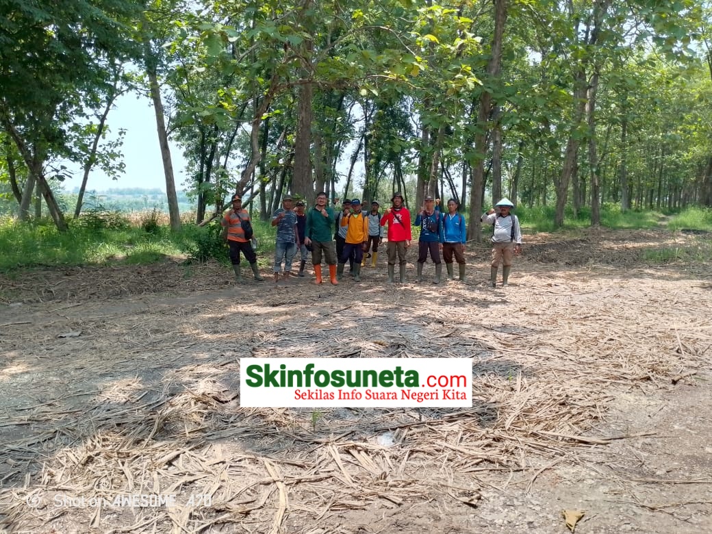 IMG-20240217-WA0001-wm-98166.89999997616