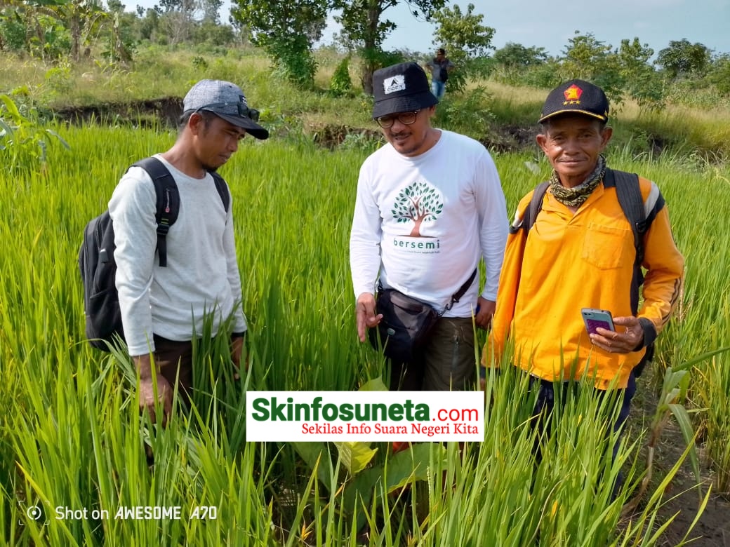 IMG-20240217-WA0003-wm-2597598.2999999523