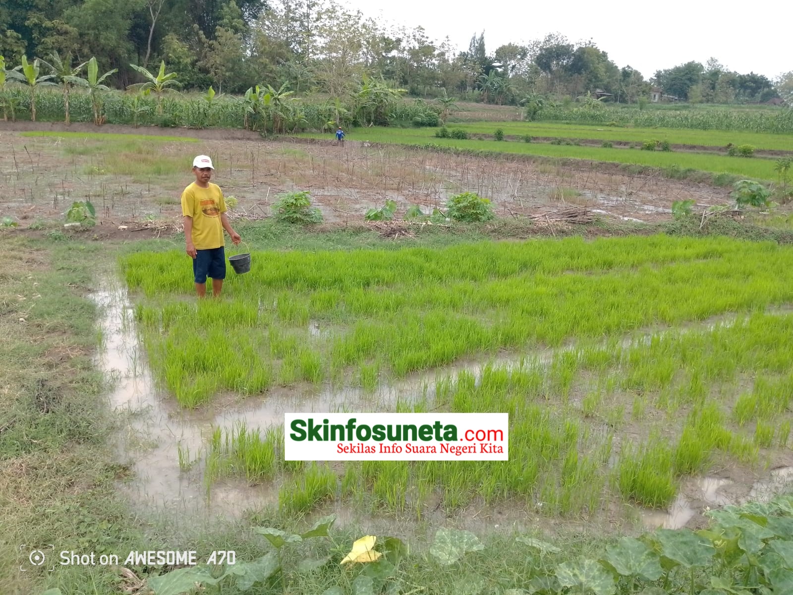 IMG 20240217 WA0011 wm 120821.90000009537