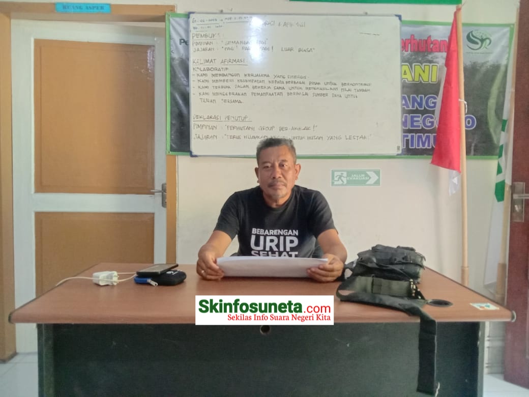 IMG 20240329 WA0004 wm 71355.40000000596