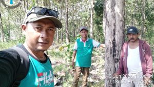 IMG 20260613 WA0038